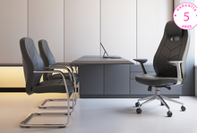 Cargar imagen en el visor de la galería, Silla ALUFSEN Visita