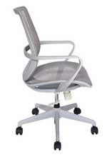 Cargar imagen en el visor de la galería, Silla Evolution Gris, Verde