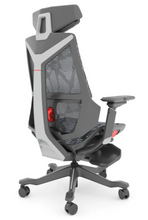 Cargar imagen en el visor de la galería, Silla Dragon