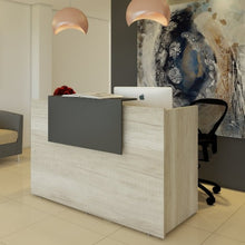 Cargar imagen en el visor de la galería, Modulo Recepción Recto 1.60M.