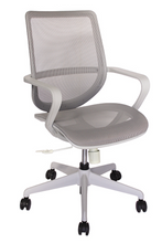Cargar imagen en el visor de la galería, Silla Evolution Gris, Verde
