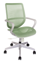 Cargar imagen en el visor de la galería, Silla Evolution Gris, Verde
