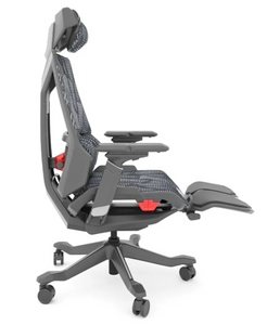 Silla Dragon