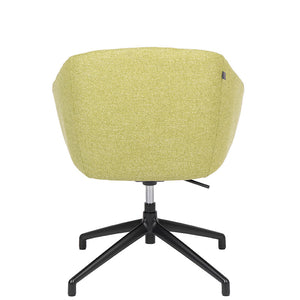 Silla Edge spider