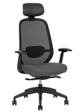Cargar imagen en el visor de la galería, Silla Spirit Express Respaldo Alto
