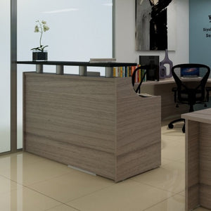 Recepción Modular de 1.80 M.